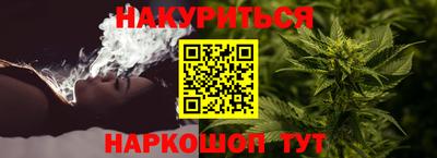 ECSTASY Новозыбков