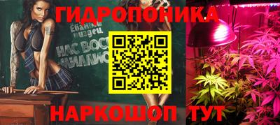 сатива Новодвинск