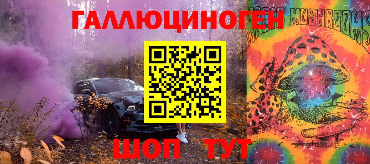 Славгород  Псилоцибиновые грибы мухоморы  купить наркоту  Вход с VPN 