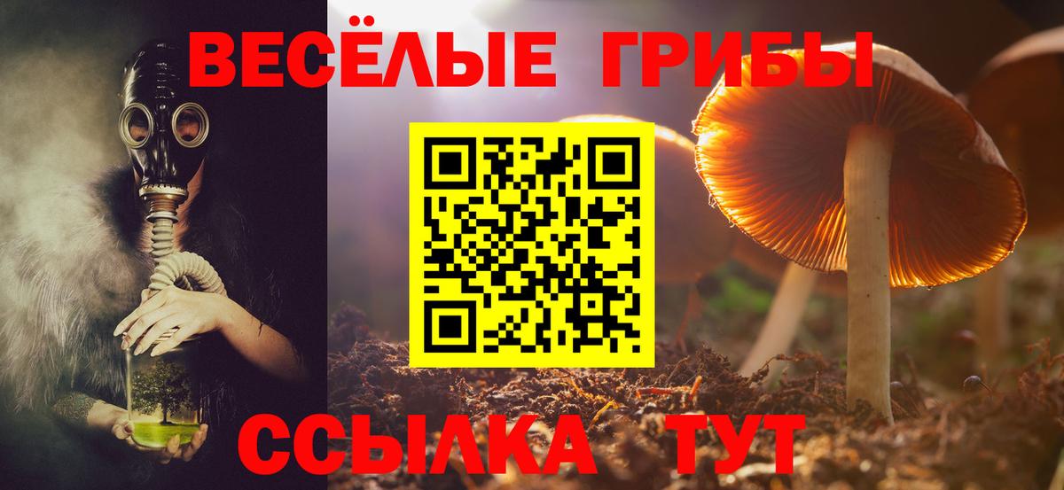 Псилоцибиновые грибы ЛСД Славгород