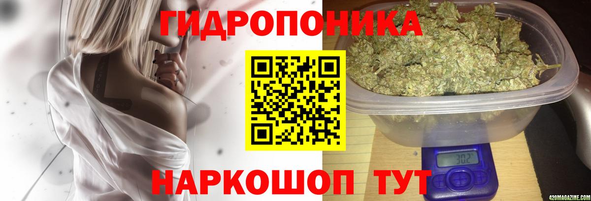 Конопля гибрид  Марихуана планчик  Марихуана планчик  Вход с VPN  Каннабис MAZAR  Славгород 